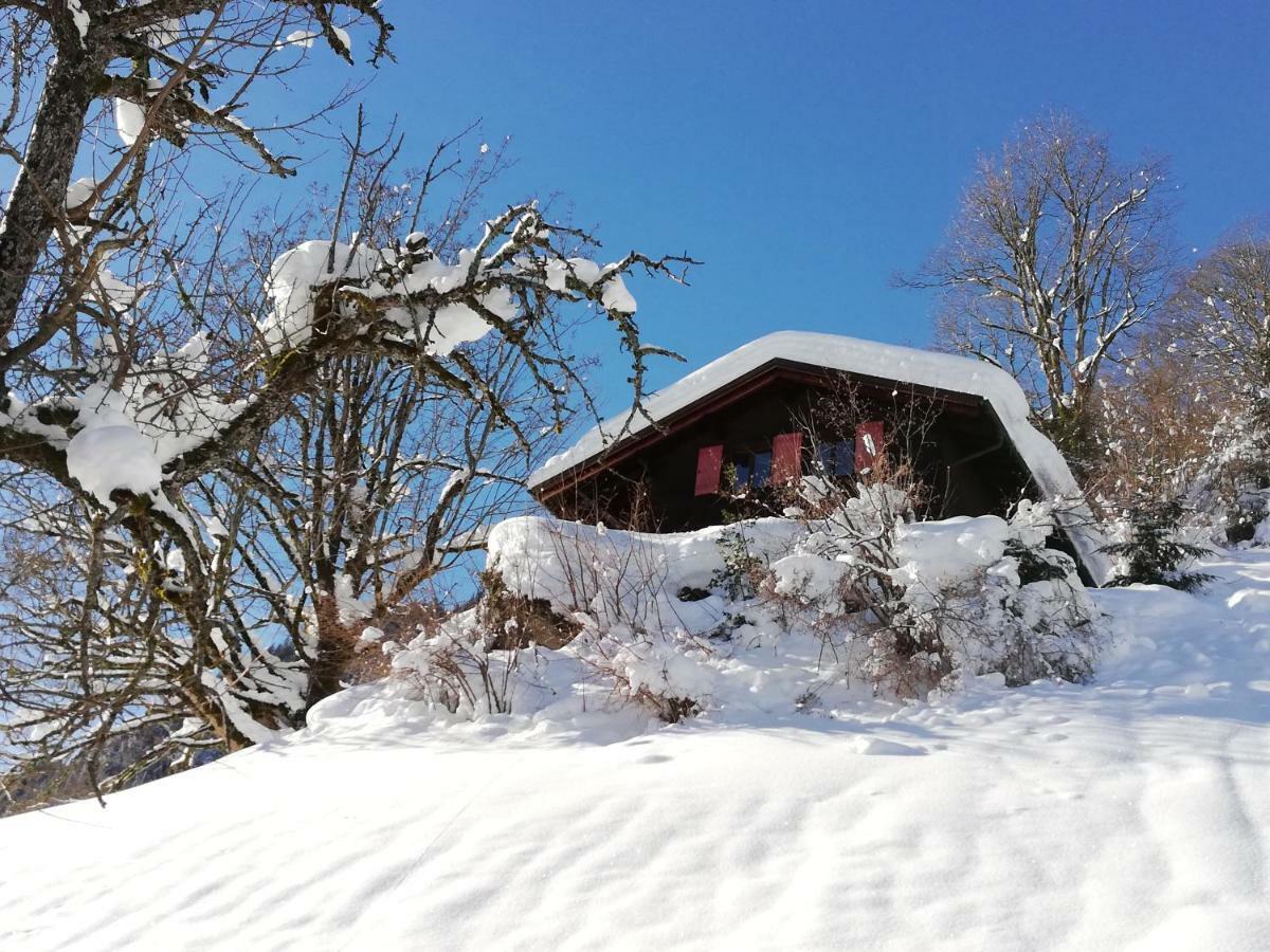 Ferienhaus Schnider Galgenul Exterior foto